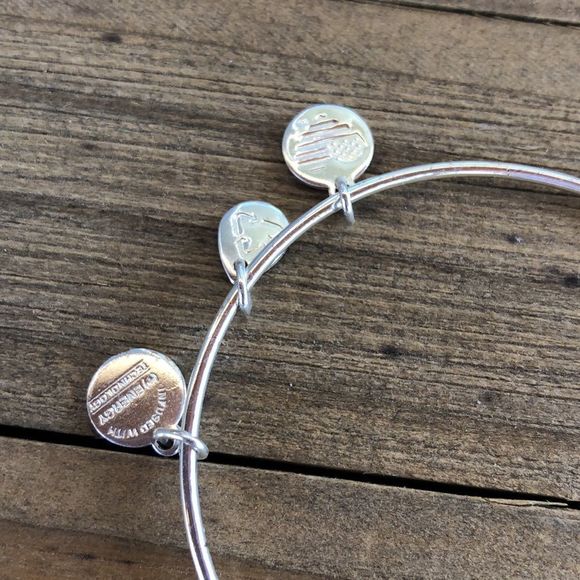 Alex and Ani Amethyst Birthstone Crystal Silver Adjustable Charm Bracelet! EUC - Picture 4 of 10